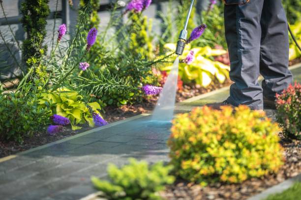 Professional  Pressure Washing Services in Berkshire Lakes, FL